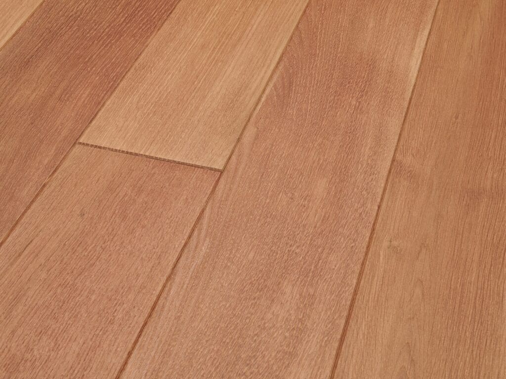 Dąb Sandal