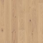 Dąb Transparent Animoso